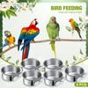 Pet Supplies Bird Food Stainless Parrot Starling Feeder Anti-chewing Food Box