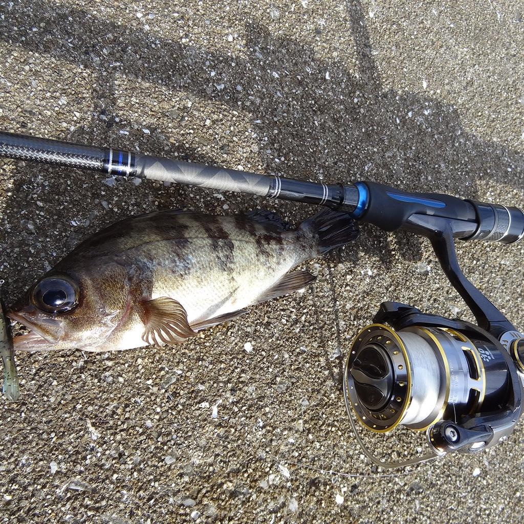 AbuGarcia Salty Style Mebaru SStyle Mebaru Удочка для рыбалки Удочка для ловли окуня STMS-762ULT