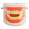 Hip Hop Hollow Gold Grillz Trendsetter Teeth - Halloween Edition