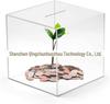 Transparent Acrylic Adult Piggy Bank: Non-Opening Savings Coin Jar