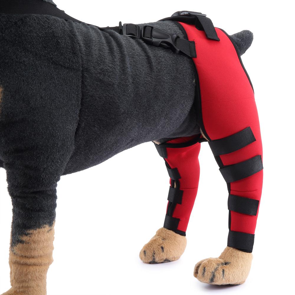 Наколенник для домашних собак, бандаж для ног при растяжении связок, артрит, сустав, поддержка задней ноги собаки