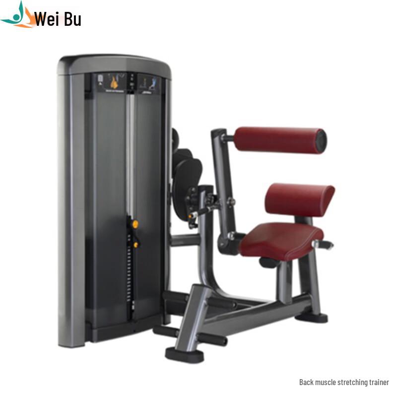 Weipu LS519 Commercial Seated Back Extension Trainer