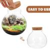 Круглая стеклянная банка DIY Экологичная бутылка Настольный микро-ландшафт Растение Террариум Ваза Домашний декор Бутылка Мини-горшок Пустая банка