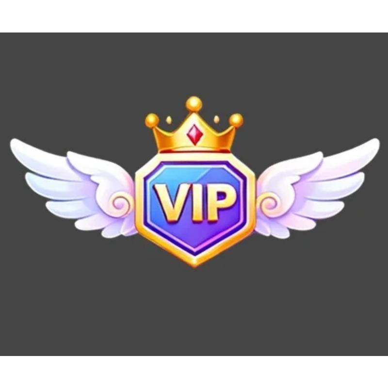 Добавлены дополнительные аксессуары для VIP-грузов