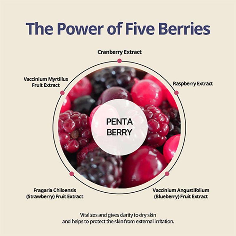 [HEVEBLUE] Penta Berry Panthenol Repair Cream 50ml