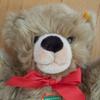 [USED] Steiff teddy bear plush toy