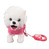 Electronic Plush Dog Interactive Puppy Singing Walking Toy with Remote Control Leash Kids Toddler