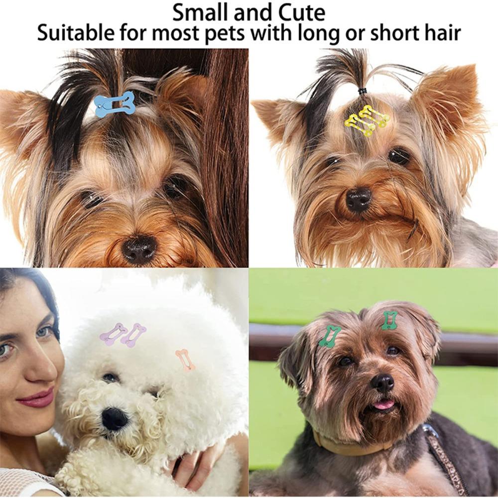 Bone Shape Candy Color Decorative Puppy Hairpin Dog Hair Accessories Cat Hair Clips Dog Hairpin