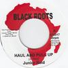 7-дюймовая пластинка JUNIOR REID - Haul And Pull Up / Live & Love In U BRS2017 Black Roots UK 1981 UK Регги, Ска и Даб