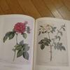 [USED] The Roses by Pierre Joseph Redouté
