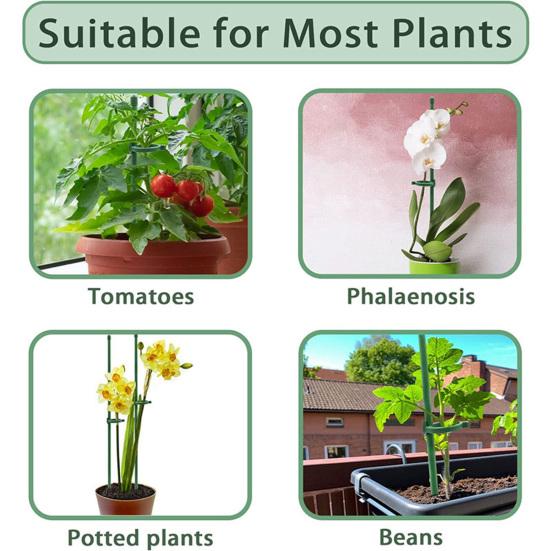 6 шт./12 шт. колья для поддержки растений с кольцами цветочные композиции для выращивания овощей зеленые палочки для поддержки растений садовые принадлежности