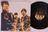12inch Record NORTHERN BRIGHT - Wildflower SYUM0139 SONY 1999 Japan Japanese Pop/Rock Used