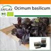 Garden In the Bag - Organic - Basil Red - 400 Seeds - With Substrate In a Fitting Stand Up Bag - Ocimum Basilicum