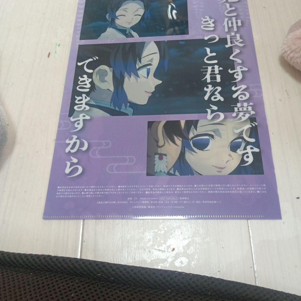 [Б/У] Прозрачный файл Синобу Кочо