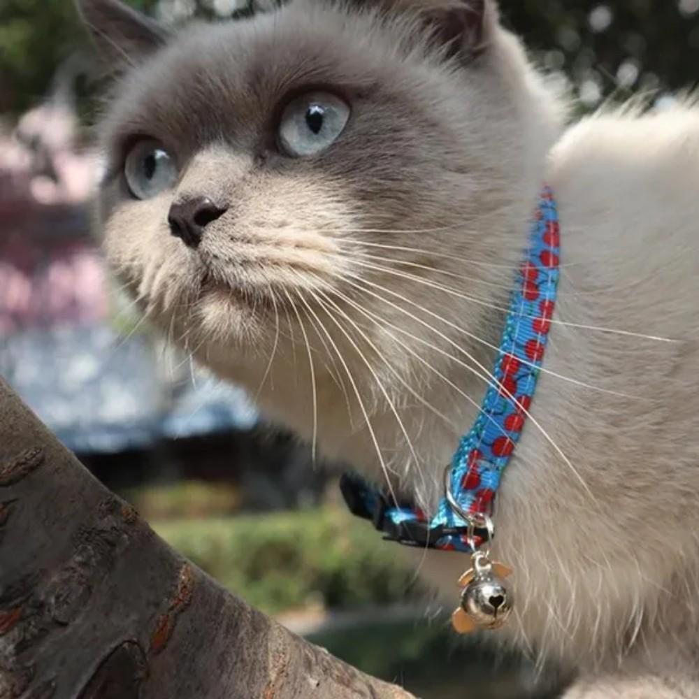 6/3/1 шт., ошейник для домашних животных, колокольчик, фруктовый стиль, одежда с пряжкой, галстук, ошейник для собаки, колокольчики, ожерелье с котом для котенка, щенка, собаки, кошки, товары для домашних животных, аксессуары для домашних животных