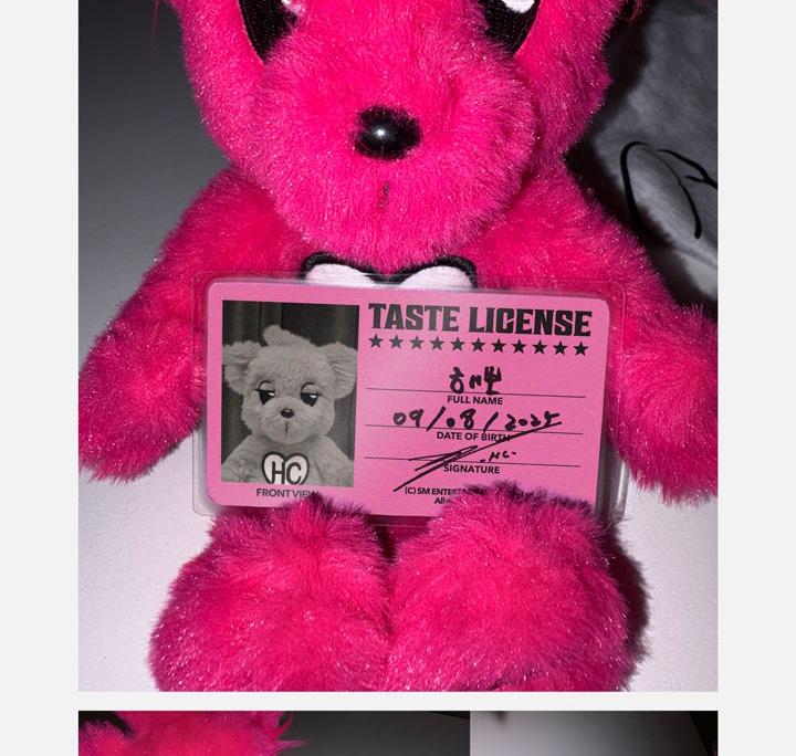 (НАУШНИКИ-ВКЛАДЫШИ / КУКЛА 25 СМ / НАБОР БРЕЛОК ДЛЯ КЛЮЧЕЙ) HAECHAN (NCT) [ВКУС] MD