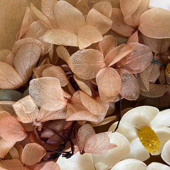 1 Bag Dried Flower Model Eye-catching Charming Smooth Surface Durable Fantastic Detailed Dried Flower Display for Kid