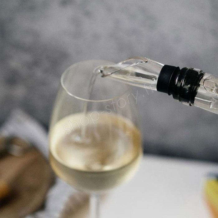 Refroidisseur de Vin 2-en-1 - SHOP-STORY - WICCORER - Acier Inoxydable - Aérateur Intégré - Bec Verseur