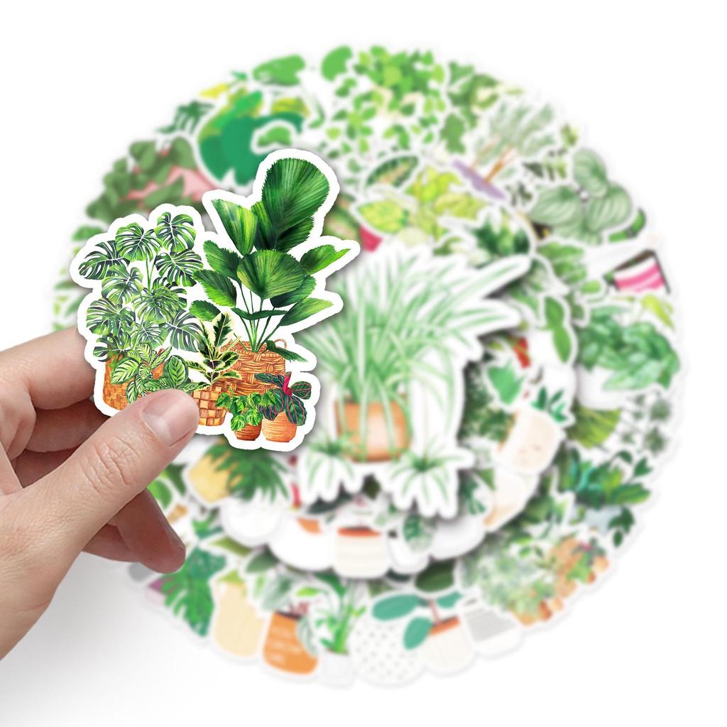 50 Green Plant Waterproof Stickers for Suitcases, Laptops, and More