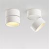 Modern Surface Mounted Downlights Indoor LED Ceiling Lights Living Room Aisle Corridor Spotlights Lighting Round Aluminum Lamp