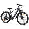HEDATX TX1 Adult Mountain EBike 48V 10.5Ah Battery 500 Motor 26 Inch Off-Road Tires Electic Bike Outdoor All-Terrain Electic Bicycle