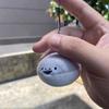 Soft Squeeze Plush Fish Pendant Plush Stuffed Chirping Keyring Squeak Sacabambaspis Keychain  Kids