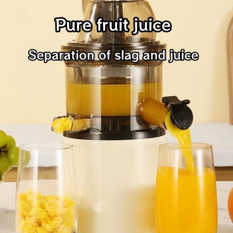 300W High Power Household Electric Fruit Juicer Large Caliber Fruit Extractor Blender Slow Chewing Cold Press Juicer
