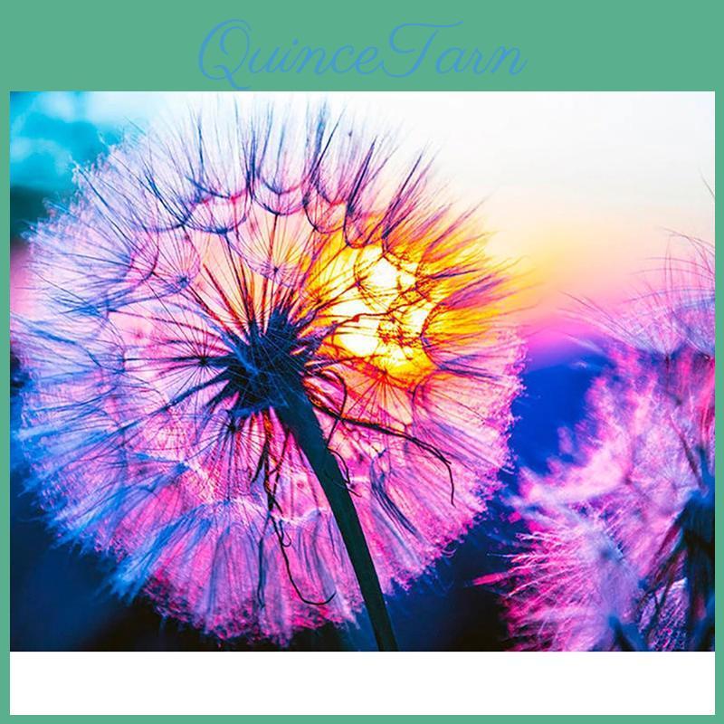 Diamond Diy Painting 5d Color Dandelion Diamond Embroidery Cross Stitch Home Decor Handmade Gifts