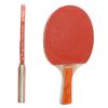 Table Tennis Paddles Ball Set Sweat Absorption Comfortable Touch Fast Speed Uniform Elasticity for Beginner Amateurs