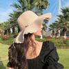 Wide Brim Pearls Strap Straw Hat Spring Summer Women's Sun Hat Ins Folding Straw Hats Female