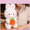 Rabbit Doll Plush Birthday Gift Rabbit Toy Persimmon Luck Animal Decoration