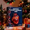 Anatomy Advent Calendar 24 Days Body Parts Countdown Calendar Gift Box with 24 Miniature Organ Acrylic Hanging Ornament Doctors Nurses Anatomy Lovers