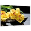 Печать на холсте Орхидея Желтый цветок