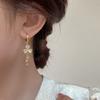 Luxury Bohemian Earrings with High-Quality Flowing Tassels - Elegant and Stylish Ear Accessories for Women