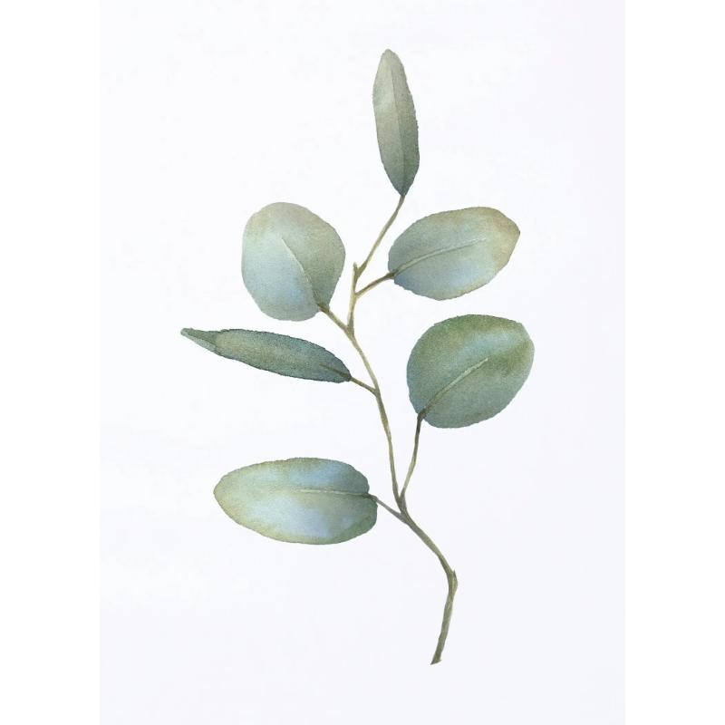 Акварельные листья зеленые постеры ботанические эвкалиптовые принты холст картины настенные художественные картины для гостиной украшения дома