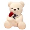 Cartoon Hug Bear Plush Doll Stuffed Animal Bear Plush Toy Rose Bear Plush Toy  Valentine's Day