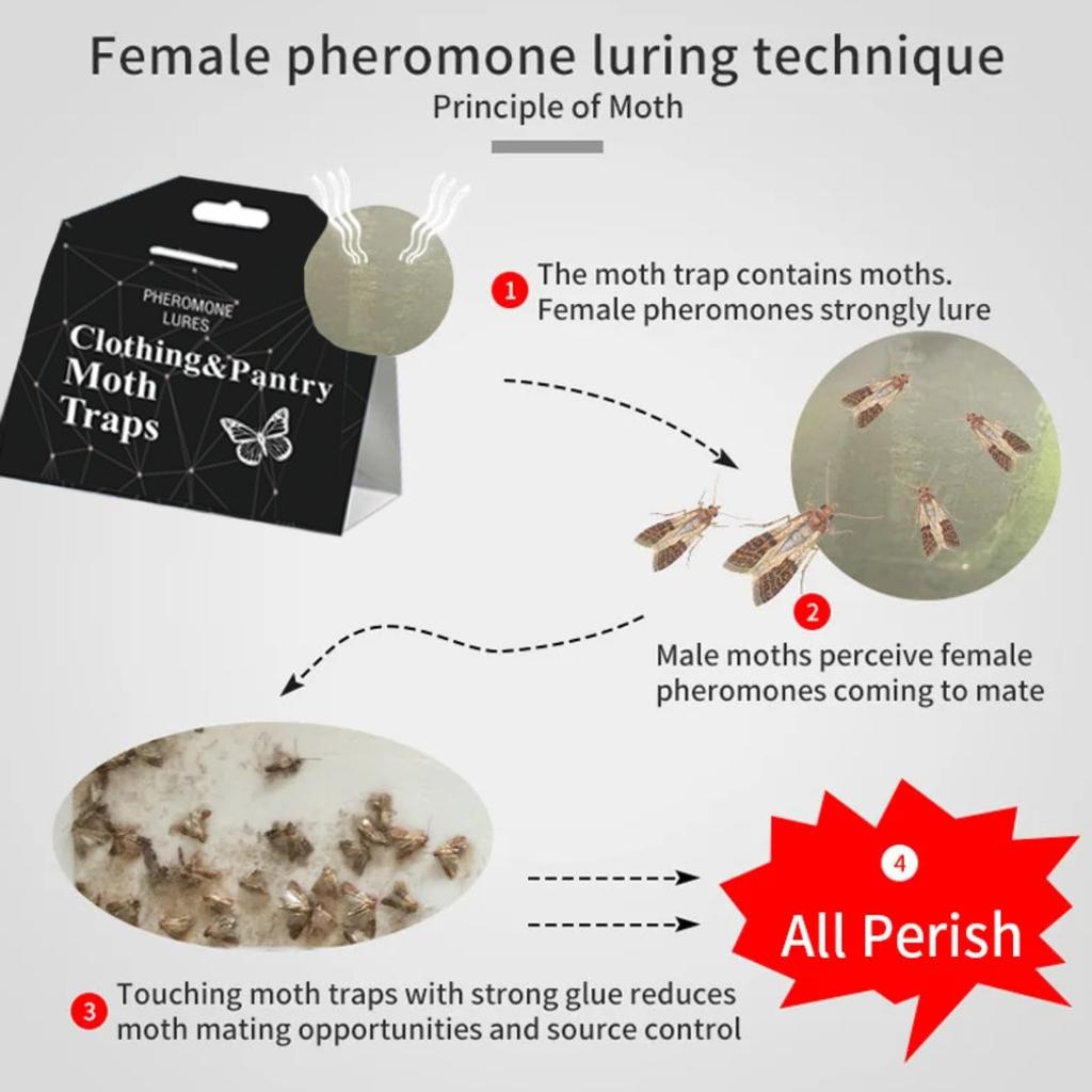 Дом для ловли моли Ловушка для моли Ловушка для моли Дом для ловли моли Дом для моли