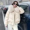 Womens Short Cotton Puffer Coat With Large Fur Collar Winter Warmth Sweet Style Thickened Jacket