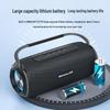 Bluetooth-колонка Newmine N20, китайская вилка (адаптер в комплекте)