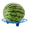 5/10Pcs Watermelon Cradle Reusable Watermelon Support Holder Melon Cradle Supports for Watermelons Pumpkins Melons Squash