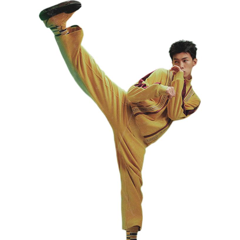 Li Ning X Bruce Lee Collaboration Kung Fu Series Свободная вышитая ребристая манжета на молнии Повседневная мужская куртка Цейлон-желтый AFDT879-2