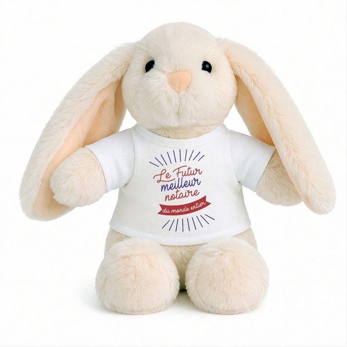 Planetee Peluche Lapin Bébé Doudou Future meilleure Notaire Cadeau Naissance Fille Nouveau-Né Baby Shower