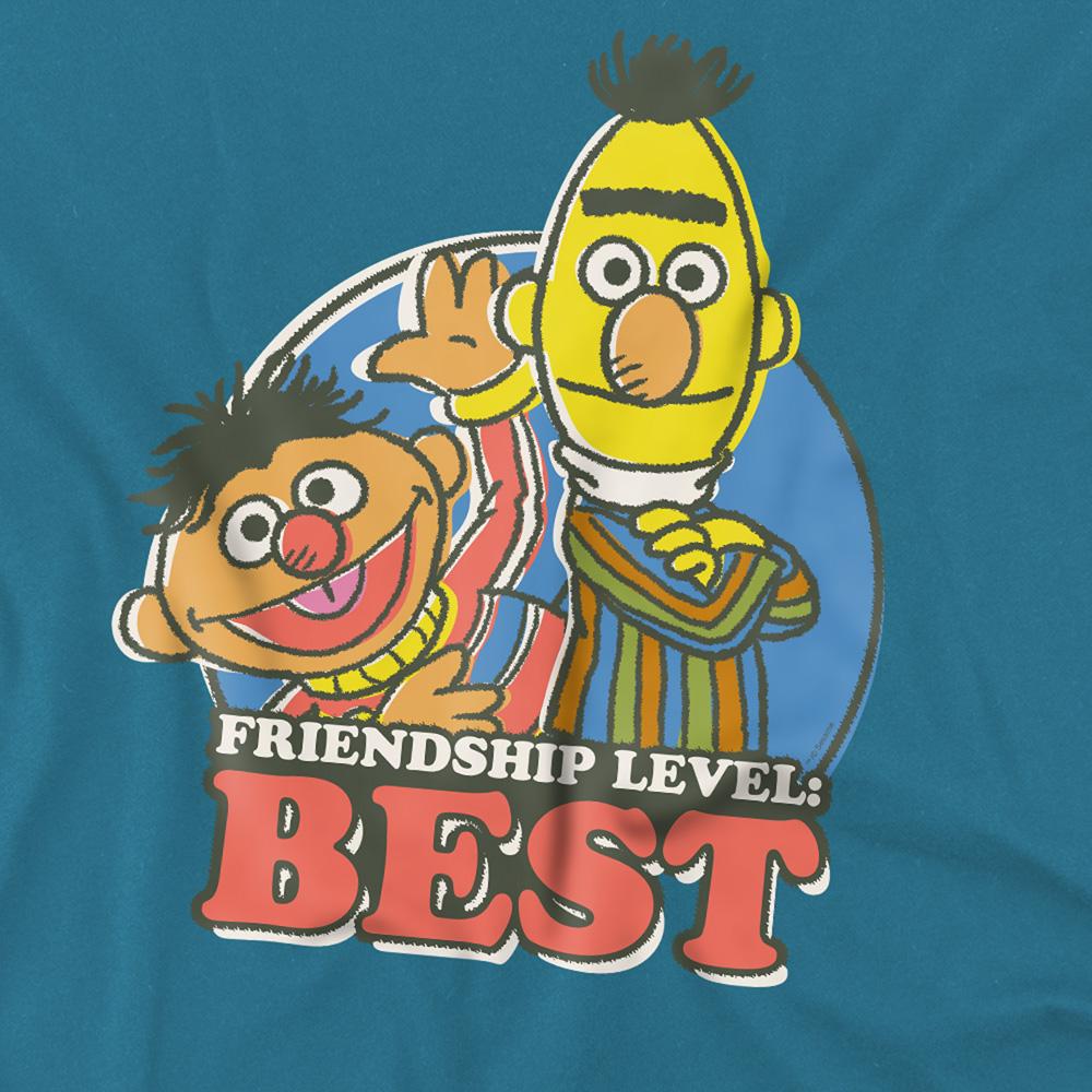 Sesame Street Unisex Adult Friendship Level: Best Bert & Ernie T-Shirt
