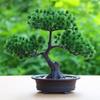 Sun'iy Ichki Qarag'ay Bonsai - Yashil Dekor Qozonda O'simlik Bezagi