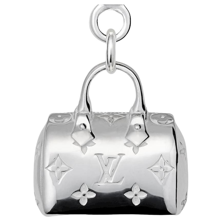 LOUIS VUITTON Speedy Bag Accessories Silver M04249