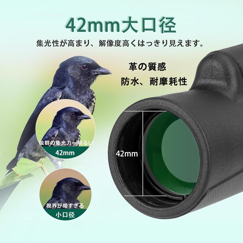 Монокулярный телескоп SVBONY SX32 10x 42 мм с большой апертурой и высоким увеличением, компактный, 256 г, совместимый со смартфоном, совместимый с очками, призма Bak4 IPX5