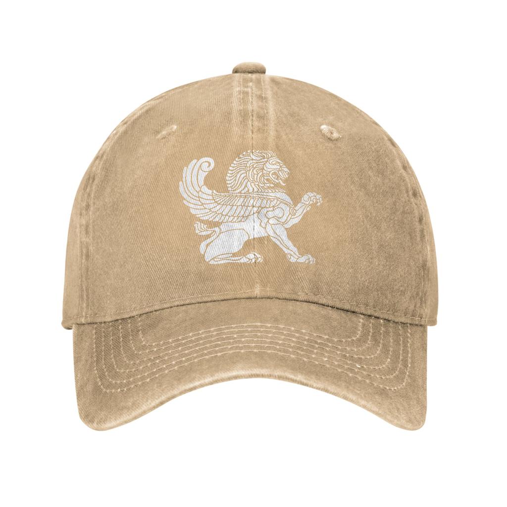 Persian Lion Iranian Baseball Cap Sun  Outdoor Gym Sun-Proof Washed Trucker Hat Women Unisex Casual Design Snapback Cap