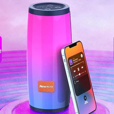 Портативная Bluetooth-колонка Newman BT70, китайская вилка (адаптер в комплекте)