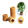 10pcs/set Decorative Aquatic Planting Ring Pottery Pottery Gravity Ring  Aquarium