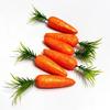 Artificial Mini Carrot 12PCS, Mini Easter Carrots Simulation Carrots Decorations Fake Vegetable Food Models for Home Kitchen Farm Party Table Decor